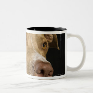 Caneca De Café Em Dois Tons Retrato do pitbull vermelho do nariz com preto