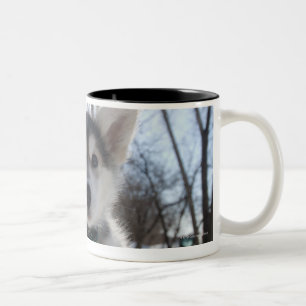 Caneca De Café Em Dois Tons Retrato exterior do filhote de cachorro ronco do