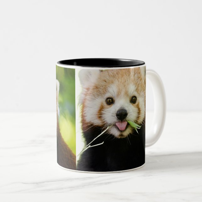 Caneca De Café Em Dois Tons Retrato Fofo de Panda Vermelho (Frente Esquerda)
