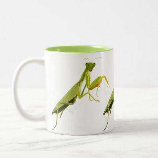 Caneca De Café Em Dois Tons Rezando Mantis