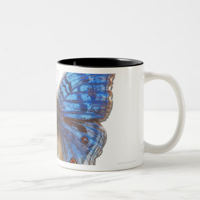 Caneca De Café Em Dois Tons Rhadama do Precis (Direita)
