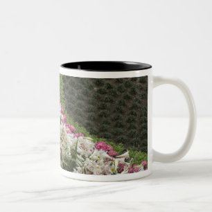 Caneca De Café Em Dois Tons Rhododendron (Rhododendron catawbiense) Charneca