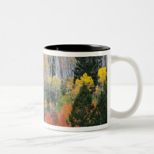 Caneca De Café Em Dois Tons Rio Provo e árvores de álamo