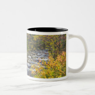 Caneca De Café Em Dois Tons Roaring Brook no outono no Green 2 de Vermont