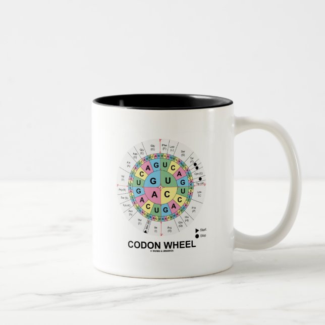 Caneca De Café Em Dois Tons Roda do Codon (ácidos aminados dos Codons do RNA) (Direita)