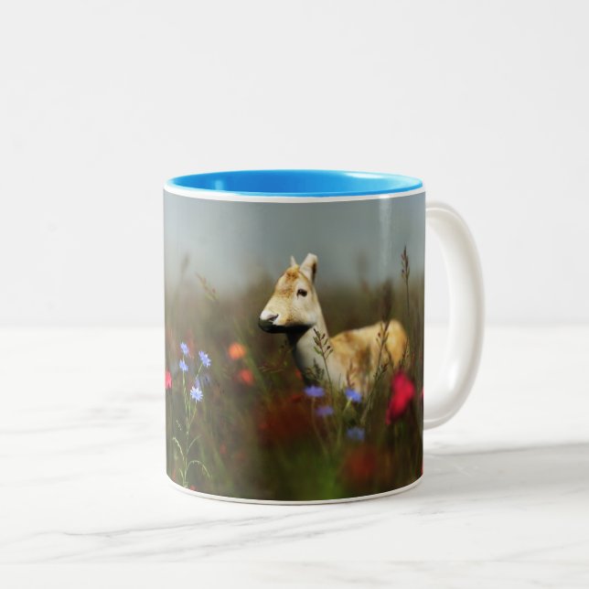 Caneca De Café Em Dois Tons Roe em uma Caneca-de-Prado (Frente Esquerda)