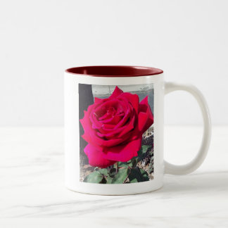 Caneca De Café Em Dois Tons ROSA nº 1 MUG