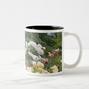 Caneca De Café Em Dois Tons Rosas em flor e Rose Garden Gazebo no