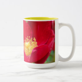 Caneca De Café Em Dois Tons Rosas São Túmulo Vermelho