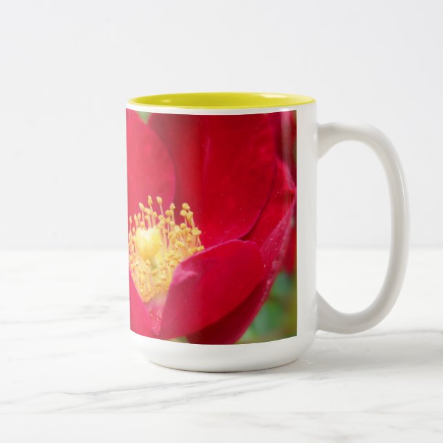 Caneca De Café Em Dois Tons Rosas São Túmulo Vermelho (Direita)