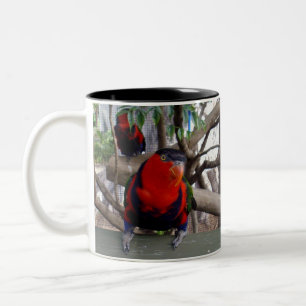 Caneca De Café Em Dois Tons Rosto Cheeky Rainbow Lorikeet,