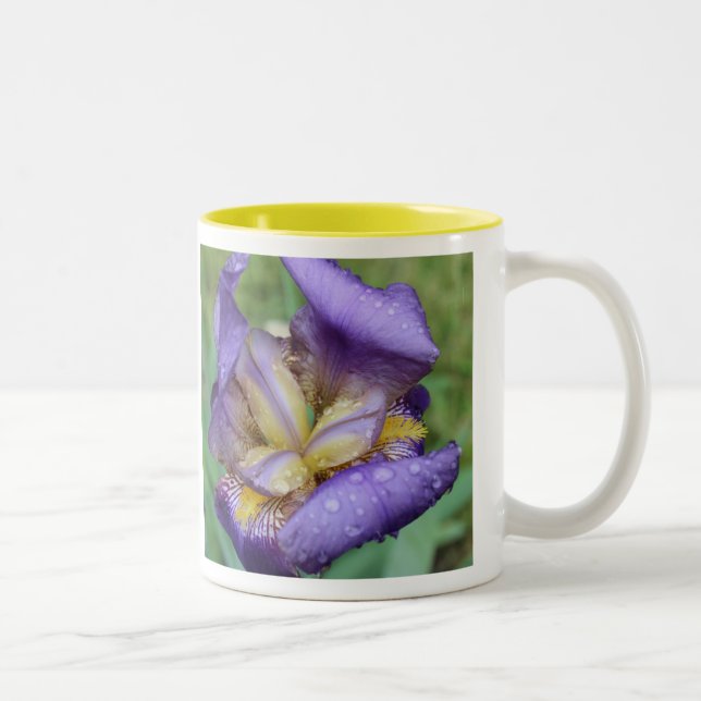 Caneca De Café Em Dois Tons Roxo Iris (Iris Germanica) (Direita)