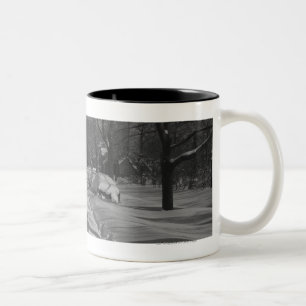 Caneca De Café Em Dois Tons Rua residencial nevado