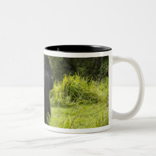 Caneca De Café Em Dois Tons Ruanda, Parque Nacional dos Vulcões