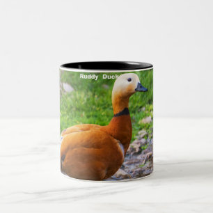 Caneca De Café Em Dois Tons Ruddy Duck