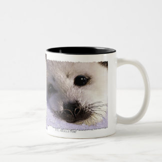 CANECA DE CAFÉ EM DOIS TONS S.O.S. SALVE OS NOSSOS FEIXES DE HARP