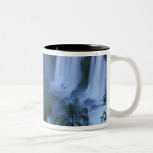 Caneca De Café Em Dois Tons SA, Brasil, Estado do Paraná; Parque Nacional do I
