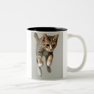 Caneca De Café Em Dois Tons Salto do gato de chita