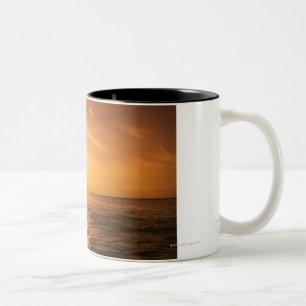 Caneca De Café Em Dois Tons Salto do golfinho de Bottlenose