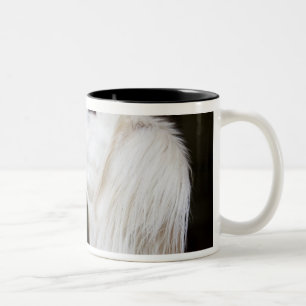 Caneca De Café Em Dois Tons Saluki que olha acima