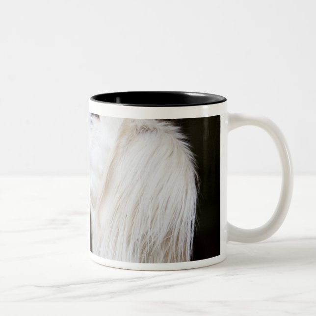 Caneca De Café Em Dois Tons Saluki que olha acima (Direita)