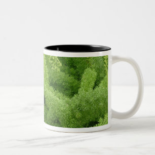 Caneca De Café Em Dois Tons Samambaia rabo-de-raposa, Asparagus densiflorus my
