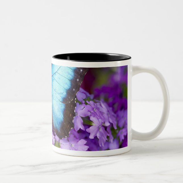 Caneca De Café Em Dois Tons Sammamish Washington Borboleta Tropical (Direita)