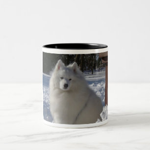 Caneca De Café Em Dois Tons samoyed