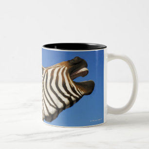 Caneca De Café Em Dois Tons Santuário de animais selvagens de Harnas, Namíbi