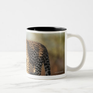 Caneca De Café Em Dois Tons Santuário de animais selvagens de Harnas, Namíbi