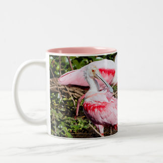 Caneca De Café Em Dois Tons Santuário de Spoonbill: Mug de Gems Oculta