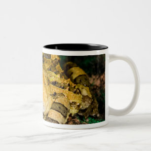 Caneca De Café Em Dois Tons Sapo Chifrudado Brasileiro, Ceratophrys cornuta, 3