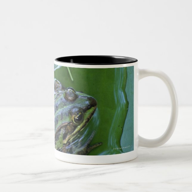 Caneca De Café Em Dois Tons Sapo da piscina, Amperauen, Alemanha (Direita)
