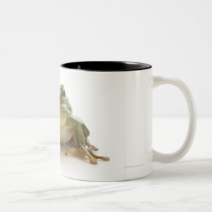Caneca De Café Em Dois Tons Sapo de árvore verde (Hylidae cinerea)