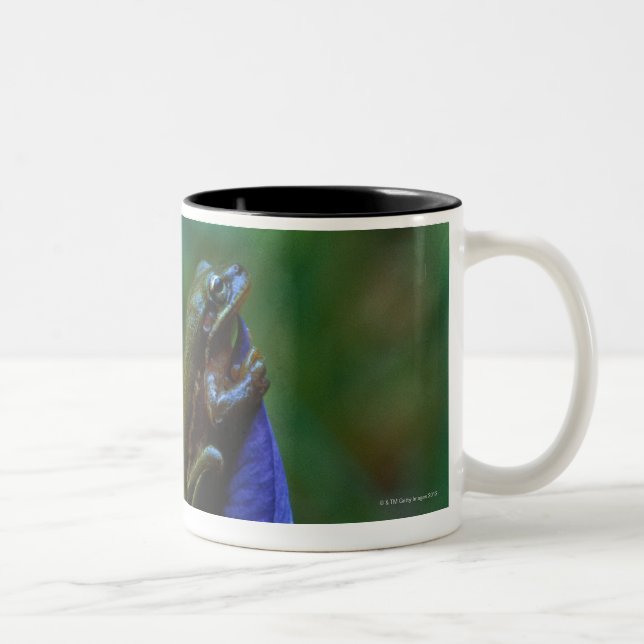 Caneca De Café Em Dois Tons Sapo de árvore verde na íris (Direita)
