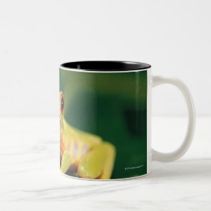 Caneca De Café Em Dois Tons Sapo de árvore vermelho do olho