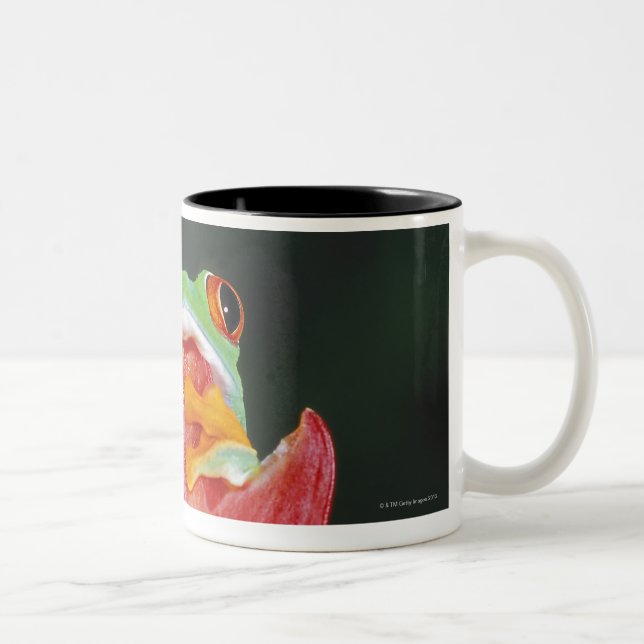 Caneca De Café Em Dois Tons Sapo de árvore Vermelho-Eyed na folha (Direita)