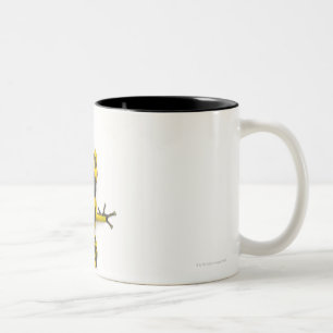 Caneca De Café Em Dois Tons Sapo do dardo do veneno do zangão