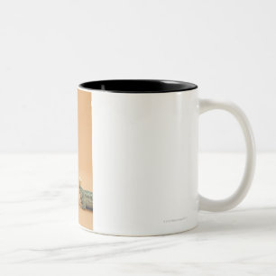 Caneca De Café Em Dois Tons Sapo e lagarto que vestem coroas