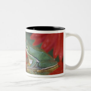 Caneca De Café Em Dois Tons Sapo e reflexos entre flores. Crédito como: