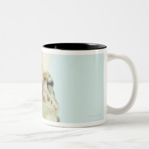 Caneca De Café Em Dois Tons Sapo que veste a coroa