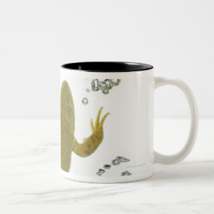 Caneca De Café Em Dois Tons sapo verde comum