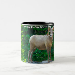 Caneca De Café Em Dois Tons Saudações de Natal Meu Amigo Querido