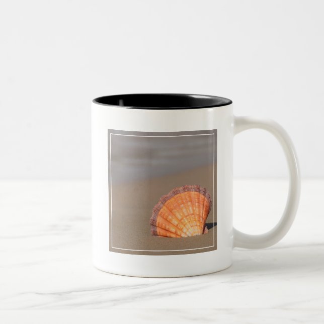 Caneca De Café Em Dois Tons Scallop Shell| Crete, piscina (Direita)