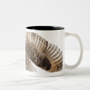 Caneca De Café Em Dois Tons Scops-coruja euro-asiática - scops do Otus (2