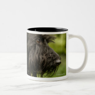 Caneca De Café Em Dois Tons Scottish Terrier