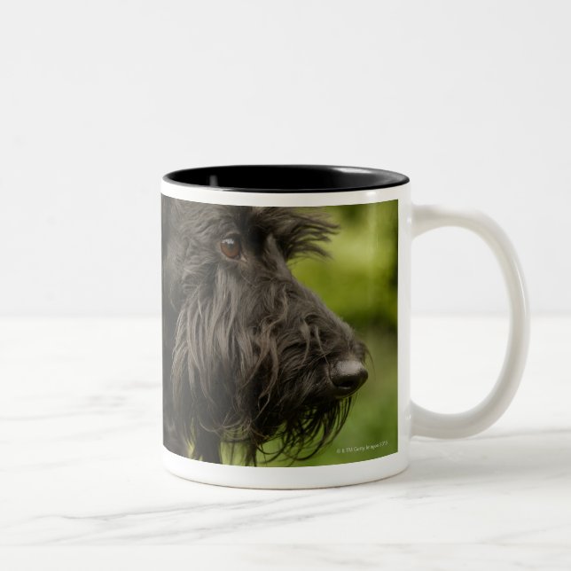 Caneca De Café Em Dois Tons Scottish Terrier (Direita)