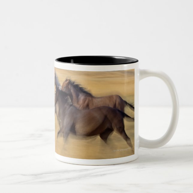 Caneca De Café Em Dois Tons Seneca, Oregon, EUA (Direita)