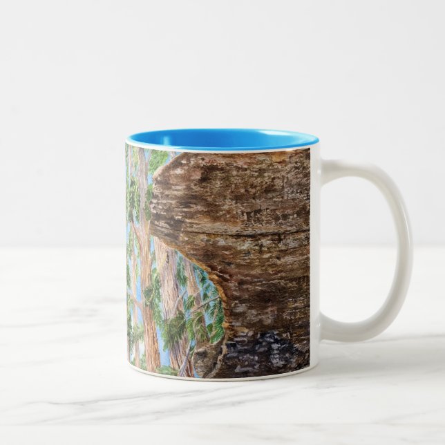 Caneca De Café Em Dois Tons Sequoia Redwoods (Direita)