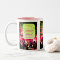 Serenity Prayer Dogwood Flowers Inspiração